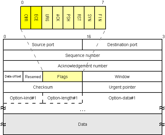 TCP header layout