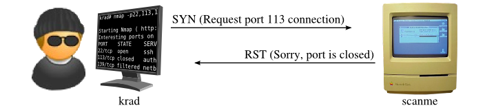 SYN scan of closed port 113